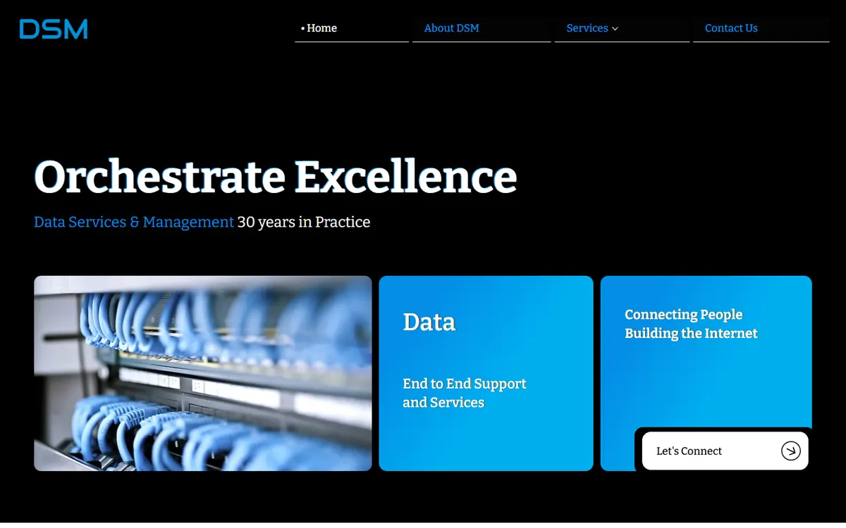 DSM Infocom website: first impression, “Data Services & Management 30 years in Practice”