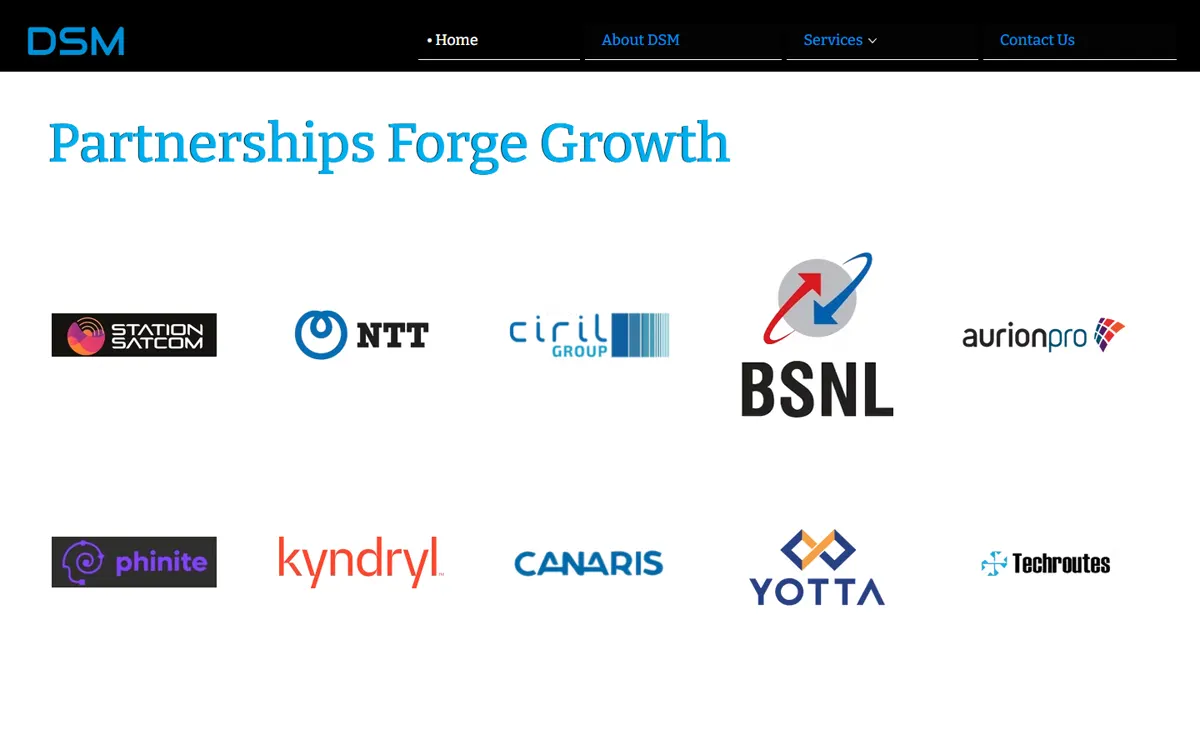 DSM Infocom website: proof and trust, “Partnerships Forge Growth”